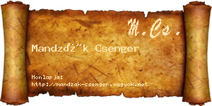 Mandzák Csenger névjegykártya